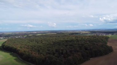 Bir orman ve gökyüzü manzarası.