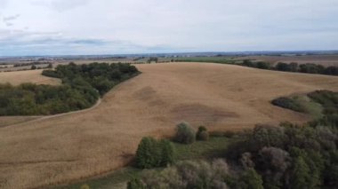 Kırsaldaki tarlaların havadan görünüşü