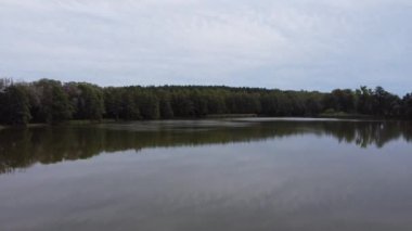 Kırsal bölgedeki nehir ve orman manzarası