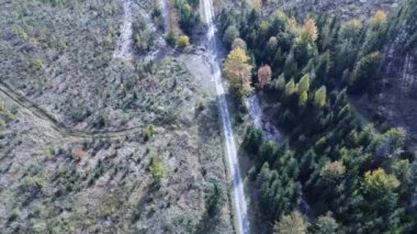 Ağaçları ve ormanı olan güzel bir yol manzarası.