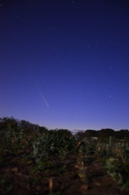 Astroloji fotoğrafı Tsuchinshan-ATLAS (C / 2023 A3), Çek, Opava, Hnevosice, Silezya Bölgesi, 