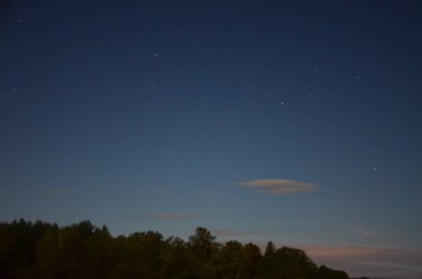 yıldızlar ve ağaçlar ile gece manzara
