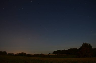 Yıldızlar ve ağaçlarla dolu gece göğü