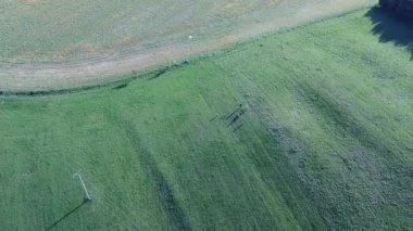 Yazın yeşil çimen