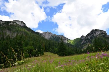 Polonya 'daki Tatra Dağları manzarası