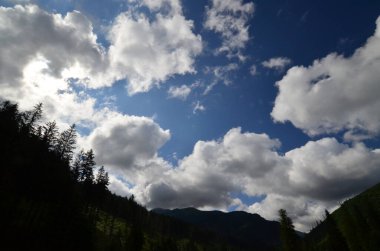 Yazın Karpat Dağları