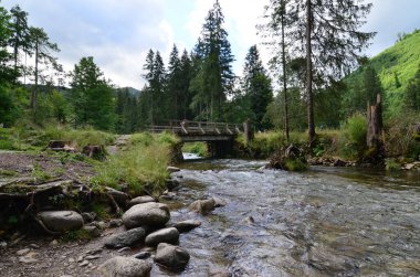 Karpatlar 'daki güzel dağ nehri.