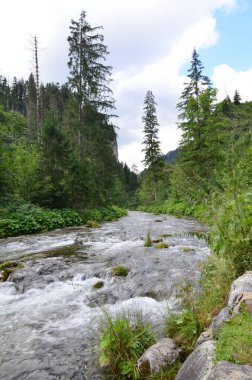 Dağlardaki dağ nehri