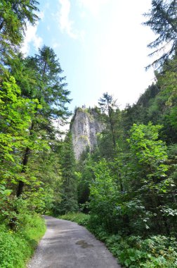 Dağların arasından yol.