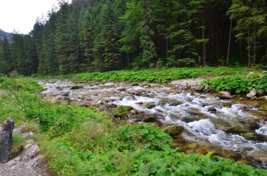 Nehir ve dağlarla dolu güzel bir manzara