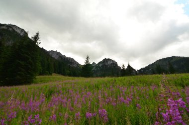 Dağlarda dağları olan güzel bir manzara.