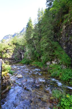 Dağlardaki nehrin güzel manzarası