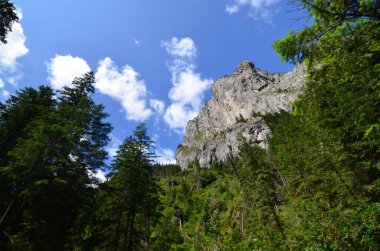 Dağlardaki güzel dağ manzarası, Koscieliska Vadisi, Tatry Ulusal Parkı, Polonya