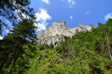 Büyük Thach doğal parkının sıradağları, Koscieliska Vadisi, Tatry Ulusal Parkı, Polonya