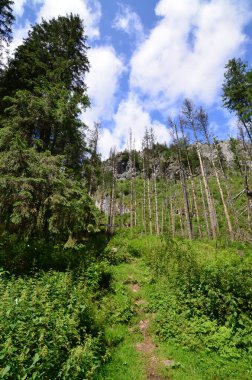 Karpat Dağları 'ndaki sıradağların manzarası. Koscieliska Vadisi, Tatry Ulusal Parkı, Polonya