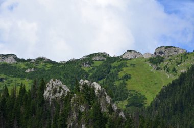 Dağlardaki güzel manzara, Polonya Tatraları, Koscieliska Vadisi,