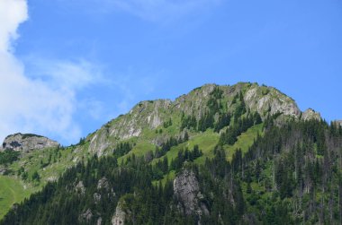 yüksek tatra dağlarının güzel manzarası, Polonya, Avrupa, Polonya Tatraları, Koscieliska Vadisi,