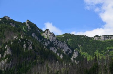 Dağların güzel manzarası, Polonya Tatraları, Koscieliska Vadisi,