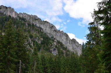 Dağdaki güzel manzara, Polonya Tatraları, Koscieliska Vadisi,