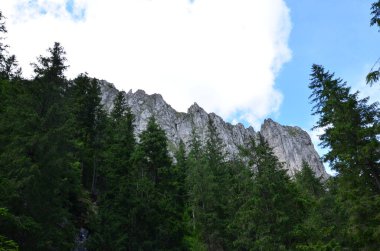 Arkasında ağaçlar ve yeşil ormanlar olan kayalık dağ sıraları, Polonya Tatraları, Koscieliska Vadisi,