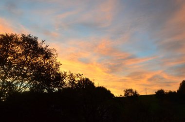 Güzel bir sabah şafağı, ağaç silueti, güzel bir arkaplan rengarenk gökyüzü