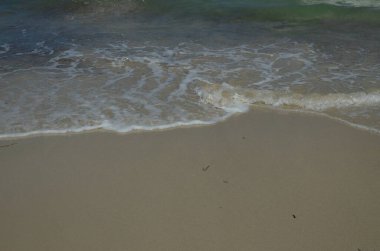 Deniz kıyısında dalgalar