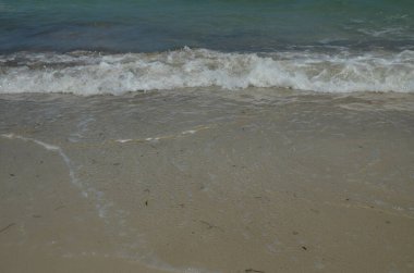 Güzel bir deniz manzarası. Doğa, Djerba, Tunus