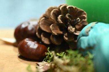 Kestane ve kozalaklı sonbahar kompozisyonu.