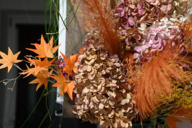 güzel çiçeklerin yakın görünümü