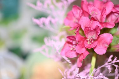 Güzel çiçekler, çiçek konsepti