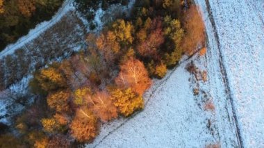 Karla kaplı ağaçlar ve ormanlarla kaplı kışın hava aracı manzarası.