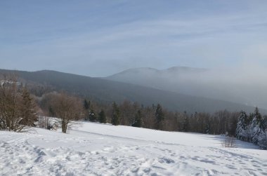 Karla kaplı ağaçlarla kaplı kış ormanı, pustevny, czech cumhuriyeti, silesia, beskydy dağı