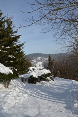 Almanya 'nın kırsal kesiminde güzel bir kış manzarası.