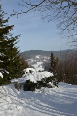 Thüringen ormanında kış kötü nach, Almanya / güzel doğa / orman ia