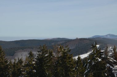 Ormanda kış manzarası