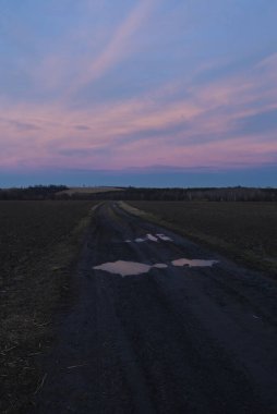 Tarlada güzel bir gün batımı