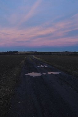 Tarlanın üzerinde güzel bir gün batımı