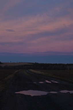 Tarlanın üzerinde güzel bir gün batımı