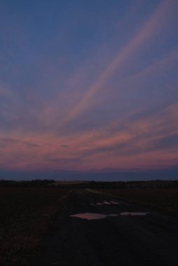 Tarlanın üzerinde güzel bir gün batımı