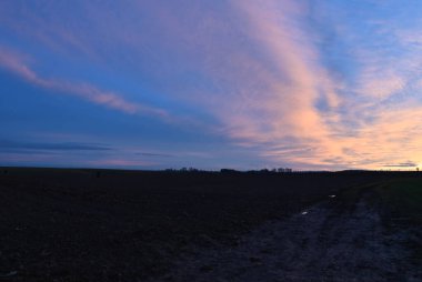 gün batımını tarlada ve gökyüzünde.