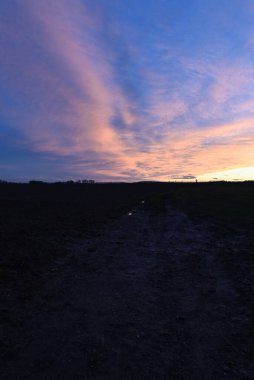 Tarlanın üzerinde güzel bir gün batımı