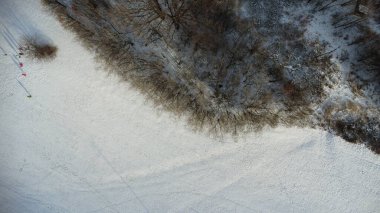 Kış orman havadan görünümü karla kaplı