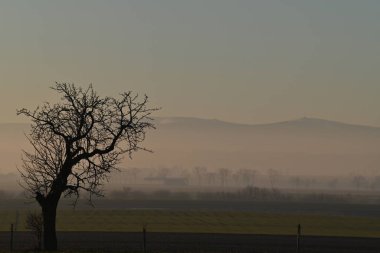 Dağlarda güzel bir tarla görüntüsü.