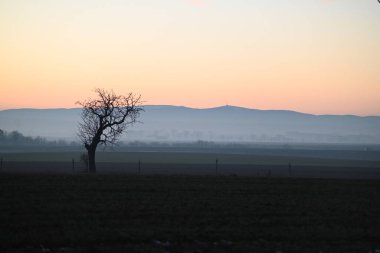 Czech Dağı Jeseniky 'de güzel bir tarla manzarası var.