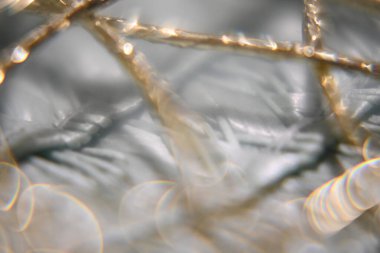 Yaprağın soyut makro fotoğrafı