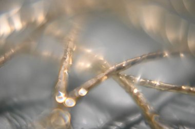 Kapat - bir tüy makrosu