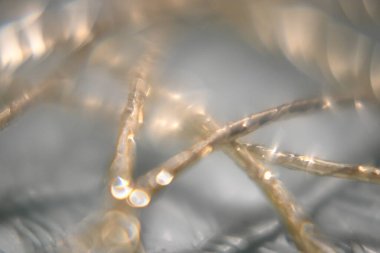 Parlak desenli soyut arkaplan