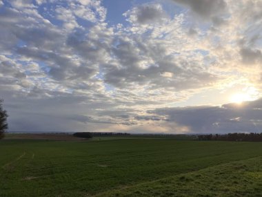 Güzel bir buğday tarlası ve bulutlu bir gökyüzü manzarası