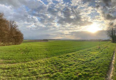 Bulutlu gökyüzünün altındaki yeşil çimenlerin dikey görüntüsü.
