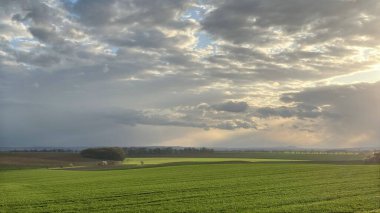 Buğday tarlası ve bulutlu gökyüzü olan güzel bir manzara.